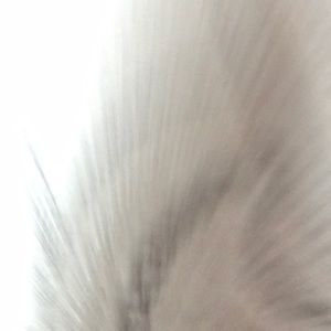 Meet your Posher, Sean